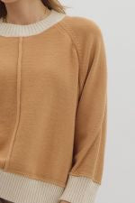 Pumpkin Spice Contrast Trim Sweater