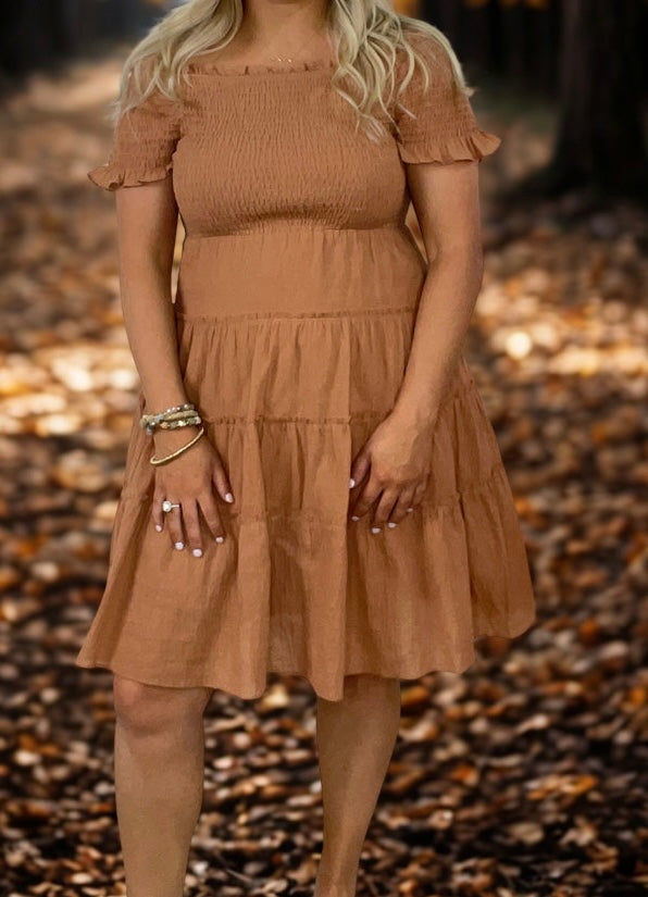 Wishlist Cheyenne Dress | Clay